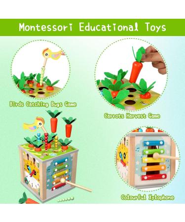 Shop Mingnor Motor Cubes Montessori Wooden Toys | Perfect for 1-Year-Olds & Toddlers | Educational Activity Center & Birthday Gifts - Buy Online on GoSupps.com