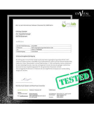 EXVital BCAA 1100 Maximum Caps - 300 High-Quality Amino Acid Capsules with Vitamin B6 | International Shipping Available - Buy Online on GoSupps.com