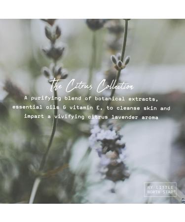 Citrus & Lavender Natural Body Wash - Made in USA - Calming & Comforting Shower Gel for Women & Men - Paraben-Sulfate-Free - 16 Fl Oz (Pack of 2) - Buy Online on GoSupps.com