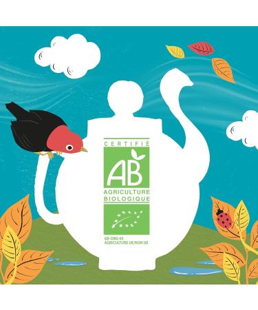 CLIPPER - Organic Infusion - Dream Size - Mate Lemon Mint - 20 Infusion Bags - 1 pack - Buy Online on GoSupps.com