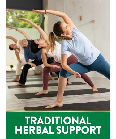 Nature's Truth Echinacea Goldenseal Capsules | 1400mg | 100 Count | Vegan Non-GMO & Gluten Free Supplement | Herbal Support Complex - Buy Online on GoSupps.com