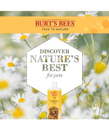 Burt's Bees Tear-Stain Remover for Dogs with Chamomile - 4 fl oz | Gentle Pet Care - Buy Online on GoSupps.com