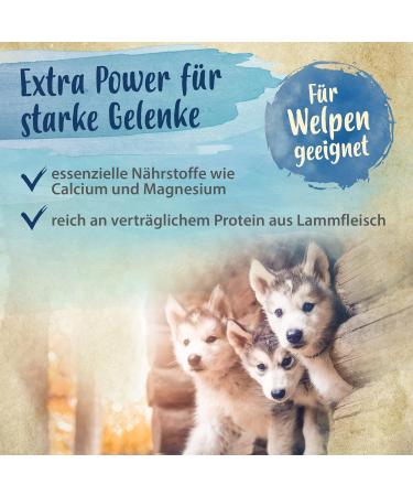 Ida Plus Sportsfreund - Joint Support for Dogs | Delicious Green Lip Shell Snacks for Mobility & Agility | 30-Day Supply - Buy Online on GoSupps.com