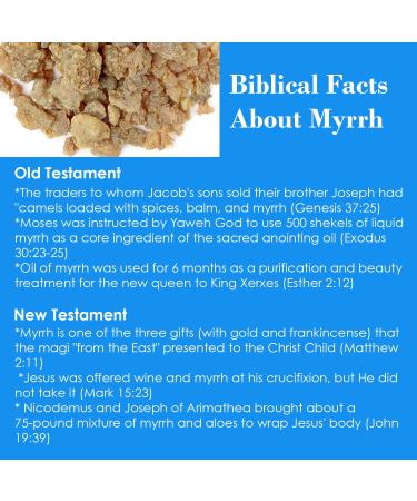 Queen Esther Myrrh Beauty Face Oil | Radiant Skin with Myrrh Rosehip Argan Seabuckthorn & Pomegranate Seed - 1.0 Fl Oz - Buy Online on GoSupps.com