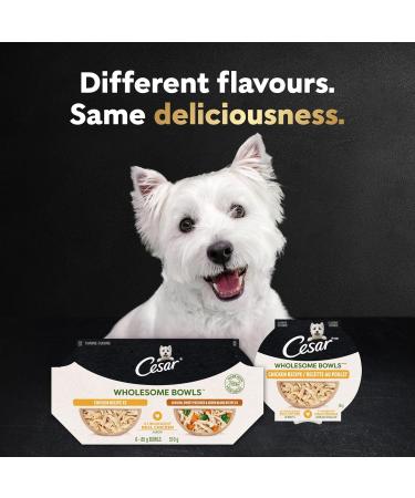 Cesar Wholesome Bowls Adult Wet Dog Food Beef Chicken Carrots & Purple Potato 85g Pack of 10 Beef & Chicken 85 g (Pack of 10) - Buy Online on GoSupps.com