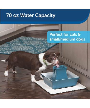 PetSafe Drinkwell Pagoda Fountain 70oz - Dual Stream Water Dispenser | Ceramic, Easy to Clean, Filters Included | Himalayan Blue - Buy Online on GoSupps.com