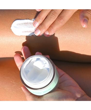 WildMint Body Whip Natural Body Butter | Ultra-Hydrating Body Cream for Skin Soft & Smooth | Shea Butter Hydrates & Boost Collagen for Dry Damaged Skin| UK Made Vegan & Cruelty-Free Skincare | 120ml - Buy Online on GoSupps.com