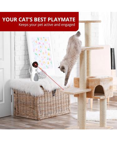 PetSavvyy Cat Laser Toy Automatic Portable Interactive Toy for Indoor Cats - Auto ON/OFF with Timer 3 Modes + 5 Angle Adjustable Height Silent Motor USB Powered/Batteries - Buy Online on GoSupps.com