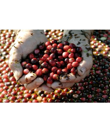 OCEAN SPRAY Bouteille de jus de Cranberry et Framboise Faible en sucres 1 Litre -Carton de 6 bouteilles - Buy Online on GoSupps.com