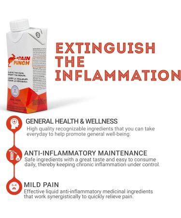 Pain Punch - 4 Pack Natural Health Product for Health & Wellness Pain Relief Supports Cognitive Health w/Turmeric Vegan Omega-3 & L-Theanine to Provide Relaxation and Focus | 4 x 236ml - Buy Online on GoSupps.com