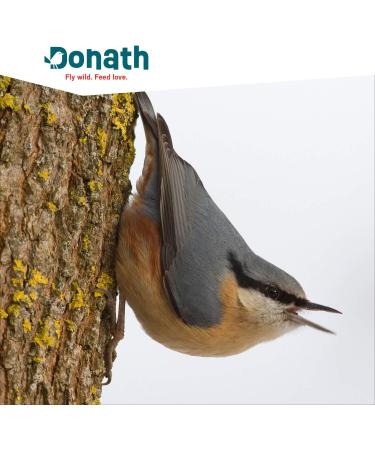 Donath Classic Organic Net Energy Balls 6 Units - Buy Online on GoSupps.com