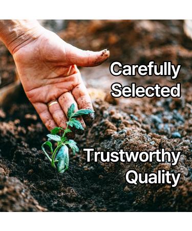 Eleotin Gold Capsules for Balanced Metabolic Health | 30 Capsules Set - Buy Online on GoSupps.com