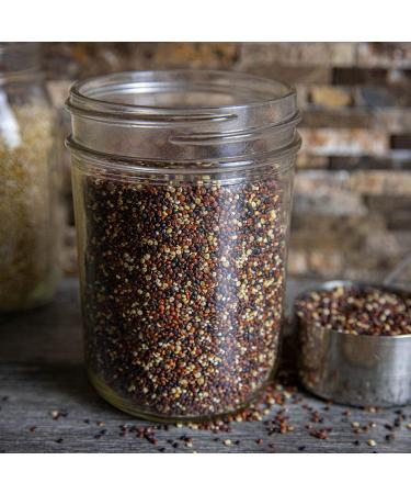 Lundberg Family Farms - Organic Quinoa Tri-Color Blend  Blend of White  Black & Red Quinoa  9 Essential Amino Acids  Non-GMO  Gluten-Free  USDA Certified Organic  Vegan  Kosher (16 oz) Organic Tri Color 1 Pound (Pack of  - Buy Online on GoSupps.com