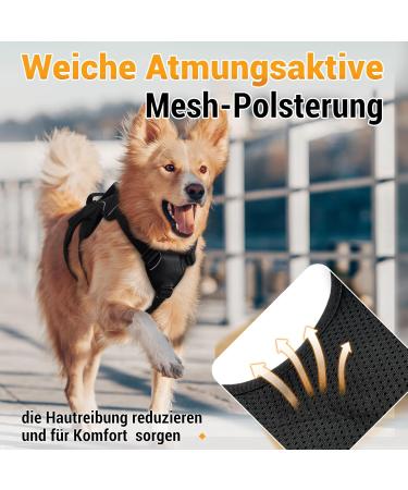 Rabbitgoo Break-Proof Dog Harness for Medium Dogs - Adjustable Breathable Padded Vest with Handle - Anti-Pull Safety for Ultimate Comfort - Black XL (1 Pack) - Buy Online on GoSupps.com