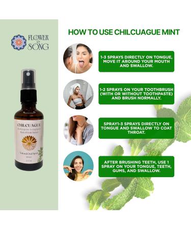 Chilcuague Natural Oral Spray (Mint) - Buy Online on GoSupps.com