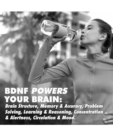 HEALTH DIRECT - AminoMind - Nootropic Collagen Supplement for Brain Health and BDNF - Pro-Hyp & Hyp-Gly Dipeptides Coffeeberry Antioxidants - Passionfruit Guava - 14 Fl Oz (28 Servings) - Buy Online on GoSupps.com