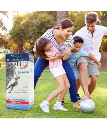 Wellgenix Bio-Available Sublingual B12 B6 Folic Acid Vitamin Supplement (60 ct) | High Absorption Multivitamin Formula - Buy Online on GoSupps.com