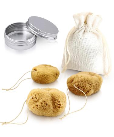 tom&pat Menstrual Sponge with String Alternative to Soft Tampon and Menstrual disc - DERMATEST: Very Good with Travel Change case Natural Sponge Washable & Reusable (Size M / 3 x 5-7 cm)