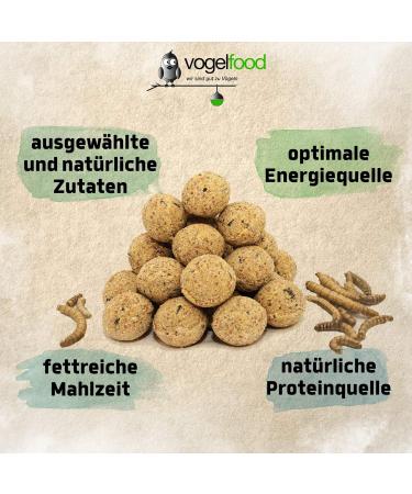 Buy 100 x 90g Insect Fat Balls - Year-Round Wild Bird Food | 9kg No Net Dumplings - Buy Online on GoSupps.com