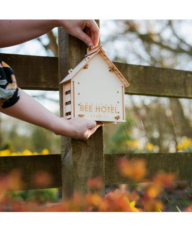 DIY Solitary Bee Hotel Kit Make your own home for wild bees. Bee-friendly gift for nature lover. 190 x 215 x 70mm - Buy Online on GoSupps.com