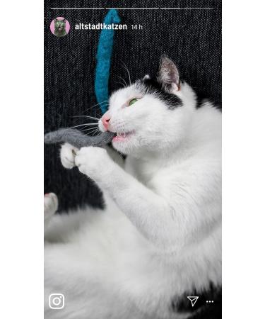 10 Hand-Rolled Felt Cat Toys - Sustainable 100% New Wool Made in Germany - Buy Online on GoSupps.com