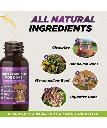 Digestive Aid for Dogs | Soothing & Anti-Inflammatory Blend with Dandelion Slippery Elm & Marshmallow Root for Optimal Gastrointestinal Health - Buy Online on GoSupps.com
