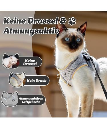 Supet Cat Tableware Dishes & Soft Vest with Leash for Kittens & Puppies - Gray (Size M: 33-38 cm) | International Shipping - Buy Online on GoSupps.com