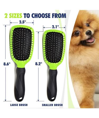 Rexipets Double-Sided Pet Grooming Set for Dogs & Cats - Small Deshedding Tool with Strong Grip - Lice & Flea Removal - Soft Bristles for Ultimate Grooming - Buy Online on GoSupps.com