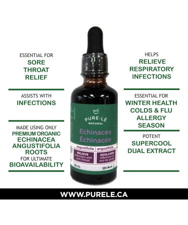 Echinacea Angustifolia Root Super Strength Holistically Standardized Fluid Extract 50ml - Buy Online on GoSupps.com
