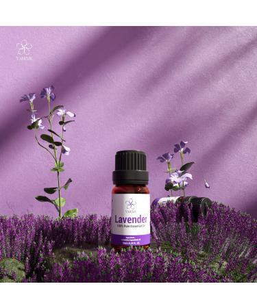 ASAKUKI Lavender Essential Oil - 10ml Natural Therapeutic Grade Oil for Diffuser, Home, Candle & Soap Making, Skin & Hair Care | YAHIME Infinite Series - Buy Online on GoSupps.com
