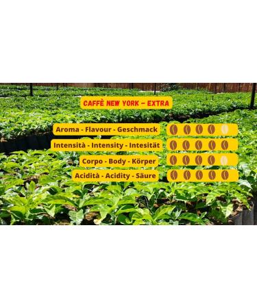  CAFFE' ESPRESSO NEW YORK New York Coffee - EXTRA - Whole bean coffee smooth taste 100% Arabica beans for grinding Italian espresso bar blend - high quality since 1930 - 500g beans - Buy Online on GoSupps.com