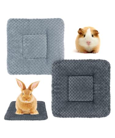 Hileyu Small Animal Plush Bed 2 Pcs Warm Fluffy Puppy Blanket Fleece Rabbit Guinea Pig Pad Bed Sleep Mat for Puppy Dog Kitten Bunny Chinchilla Squirrel Hamster 30 * 30cm