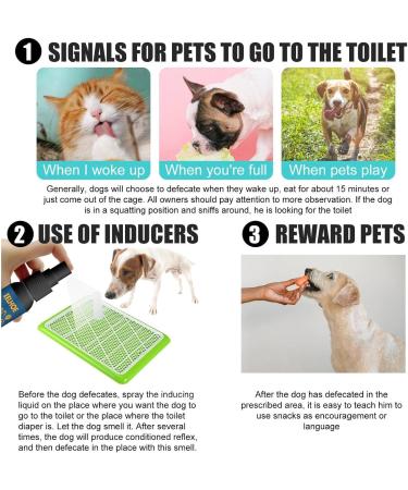 Go Here Spray for Dogs 30ml No Pee Spray for Dogs Puppy Supplies for Training Dogs Removing Stains and Odors Rianpesn - Buy Online on GoSupps.com