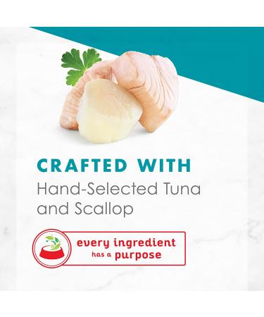 Purina Fancy Feast Appetizers Adult Gourmet Wet Cat Food - Light Meat Tuna & Scallop, 1.1oz (Pack of 10) - Buy Online on GoSupps.com