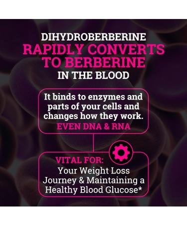 Black Forest 5X Berberine a Dihydroberberine Supplement (Super Berberine Now 5X More Effective Than Regular Berberine HCL) Best Dihydroberberine with Ceylon Cinnamon - Similar to Berberine Phytosome - Buy Online on GoSupps.com