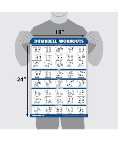16-Piece Exercise Training Poster Set | Dumbbell Suspension Yoga & More | 18x24 Inch | Ships Internationally - Buy Online on GoSupps.com