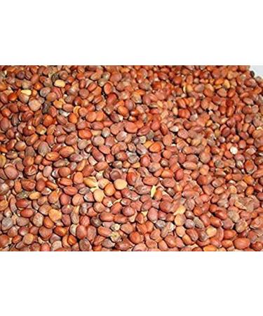 RAW HERBS/JADI BOOTI DRIED EDIBLE BEEJ MOOLI BEEJ MULI RADISH SEEDS RAPHANUS SATIVUS (500gm) - Buy Online on GoSupps.com