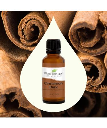 Buy 100% Pure Cinnamon Bark Essential Oil 30 mL | Plant Therapy - Therapeutic Grade Undiluted International Shipping Available - Buy Online on GoSupps.com