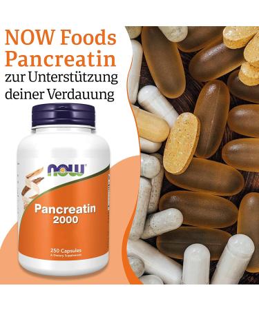 Now Foods Pancreatin 2000 - 200 mg 250 Capsules | Laboratory Tested Gluten-Free Soy-Free Non-GMO Enzyme Blend - Shop Internationally! - Buy Online on GoSupps.com