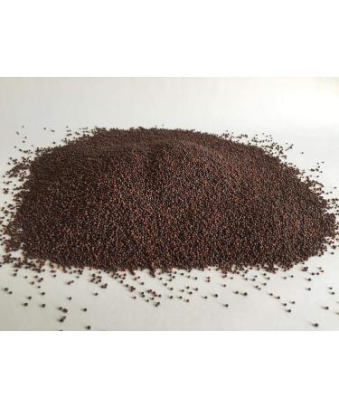 Organic Broccoli Seeds 1kg - Grow Delicious Broccoli Sprouts | Nutrient-Rich Keimsaat for Healthy Salads - Buy Online on GoSupps.com