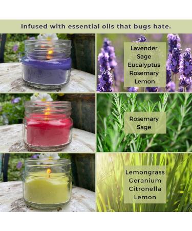 Natural Soy Candles Set of 3 - Lemongrass Lavender & Rosemary Sage - Essential Oils - Made in USA - Indoor/Outdoor Use - Buy Online on GoSupps.com