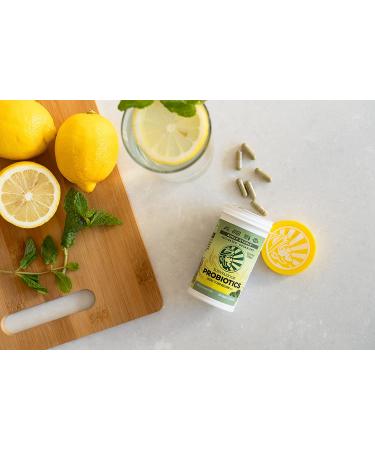 Sunwarrior Probiotics | 30 Vegan Capsules for Gut Health | Plant-Based Supplement - Buy Online on GoSupps.com