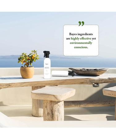 Bayes Teak Cleaner & Restorer - 16 oz - Cleans, Shines, Protects Teak - High Performance Formula - Buy Online on GoSupps.com