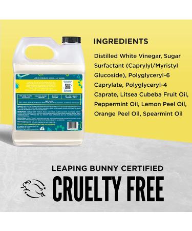 Aunt Fannie's Floor Cleaner Vinegar Wash Concentrate - Bright Lemon 32 oz | Eco-Friendly & Effective - Buy Online on GoSupps.com