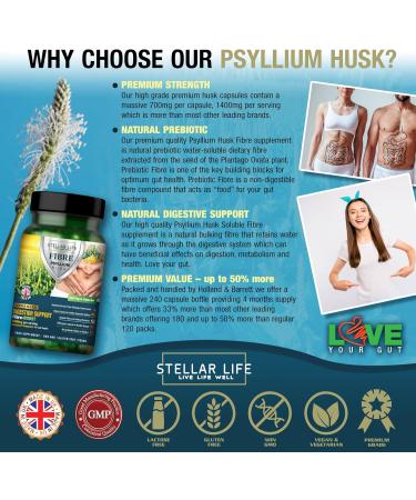 Psyllium Husk Fibre Supplement 1400mg - High Soluble Fibre, Vegan Capsules - 4 Months Supply - UK Made - Buy Online on GoSupps.com
