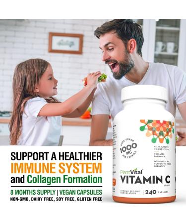 PlantVital Vitamin C 1000mg MAXIMUM STRENGTH -Vit C Supplements helps support immune system collagen and connective tissue formation - Stronger bones teeth and gums - 8 Months Supply - 240 Capsules 240 Count (Pack of 1) - Buy Online on GoSupps.com