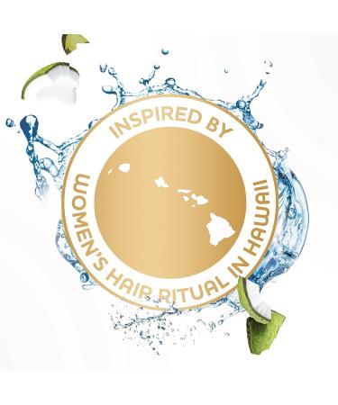 Dove Coconut Hydrating Shampoo 12 oz - Pack of 6 | Nourishing Daily Use Shampoo for Dry Hair with Lime Scent - Buy Online on GoSupps.com