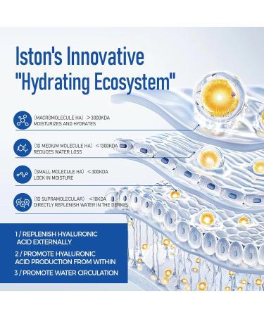 ISTON Advanced Hyaluronic Acid Serum - 1.69 Fl Oz | Anti-Aging Hydrating & Plumping with Niacinamide | 4 Molecular Weight for Youthful Skin - Buy Online on GoSupps.com