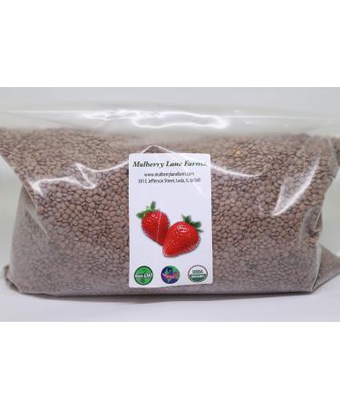 Brown Lentils, Small, 5 Pounds USDA Certified Organic, Non-GMO, Bulk, Product of USA, Mulberry Lane Farms