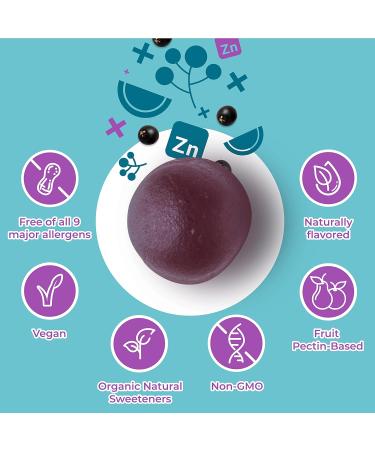 Hyland's Organic Sambucus Elderberry Gummies with Zinc and Vitamin C - Immune Support Supplement for Adults - 2 Bottles of 60 Count - Naturals Adult Elderberry - Buy Online on GoSupps.com